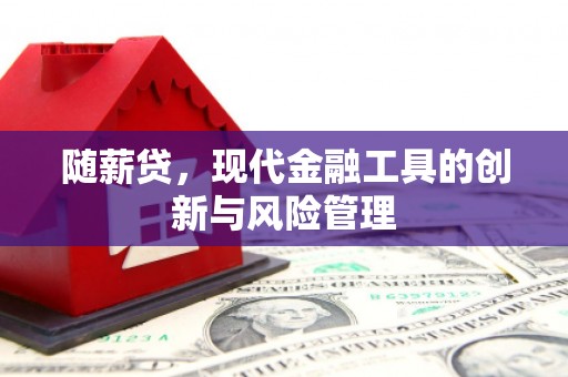丰都随薪贷，现代金融工具的创新与风险管理